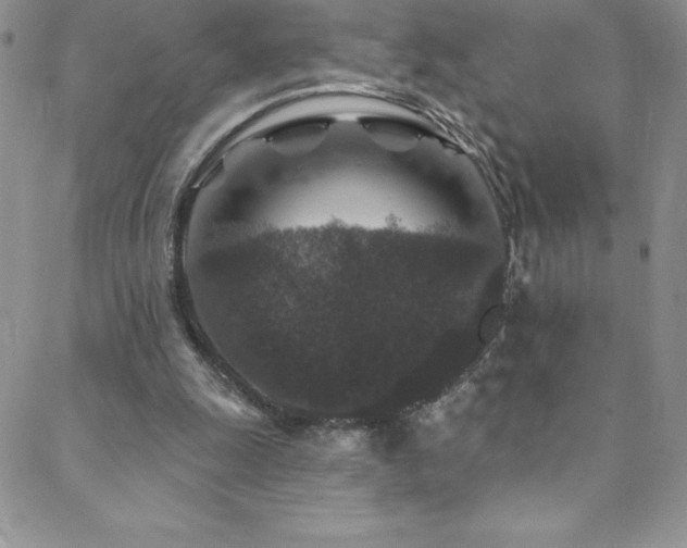 X0000088880247200706081248