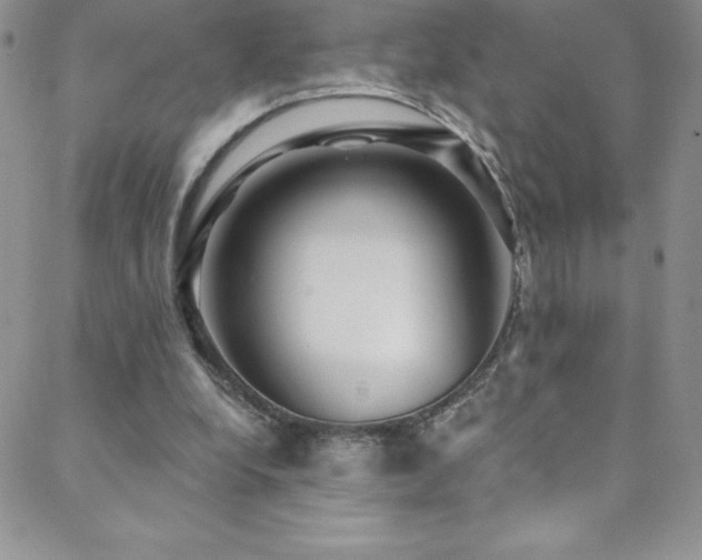 X0000088880248200706081248