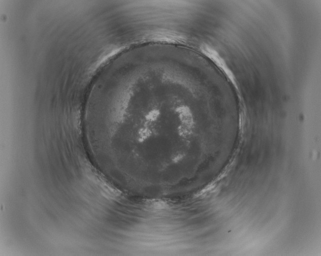 X0000088880249200706081248