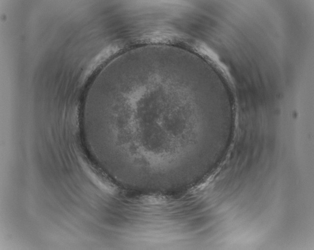 X0000088880250200706081248