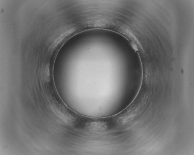 X0000088880251200706081248