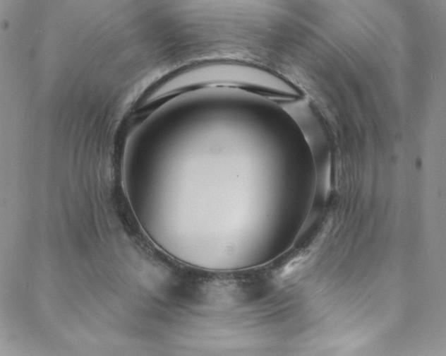 X0000088880252200706081248