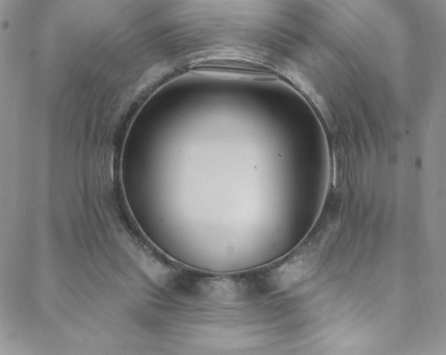 X0000088880253200706081248