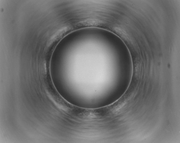 X0000088880254200706081248