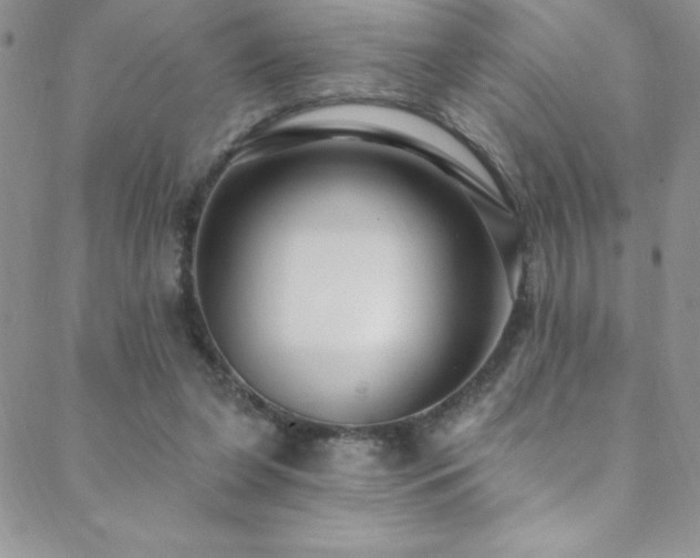 X0000088880255200706081248