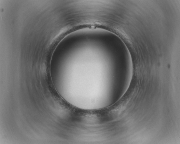 X0000088880256200706081248