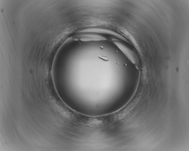 X0000088880257200706081248