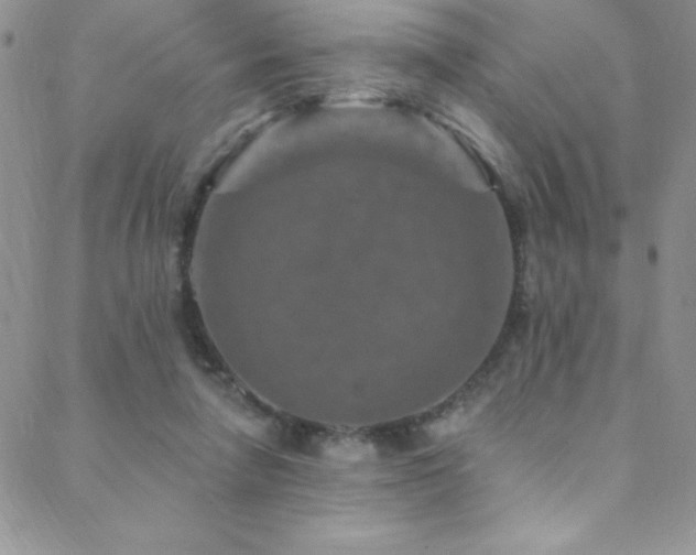 X0000088880258200706081248