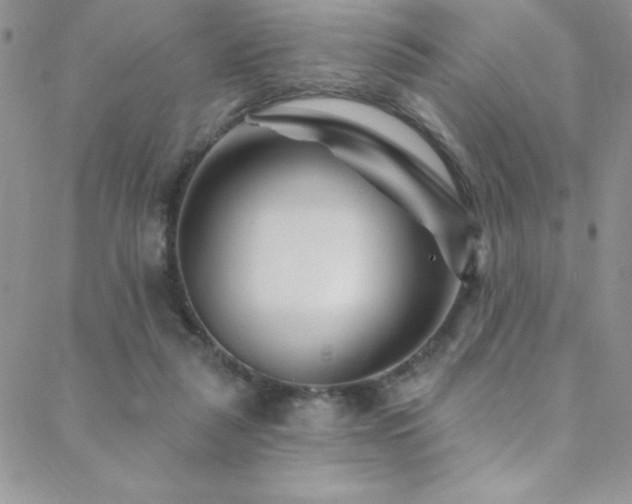 X0000088880259200706081248