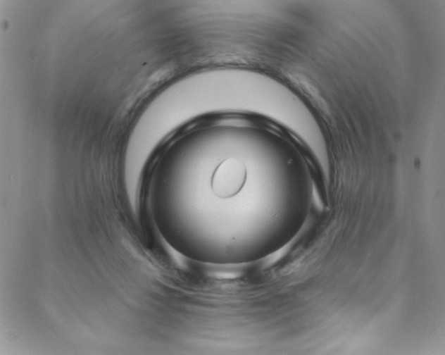 X0000088880260200706081248