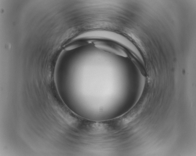 X0000088880261200706081248