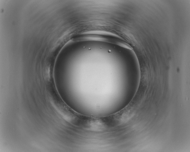 X0000088880262200706081248