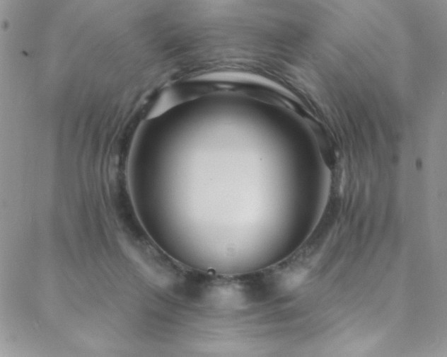 X0000088880263200706081248