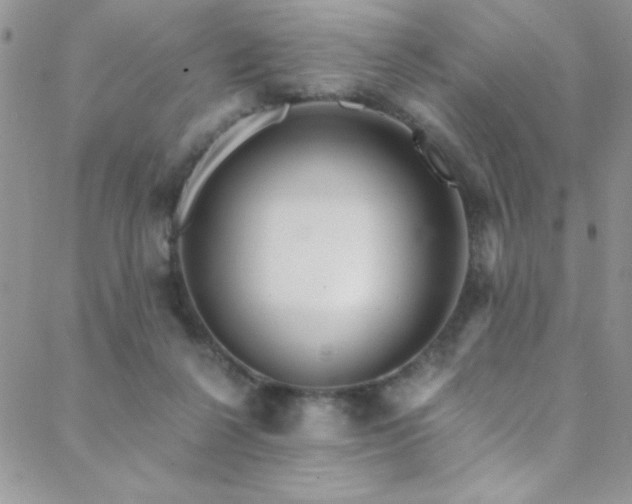 X0000088880264200706081248