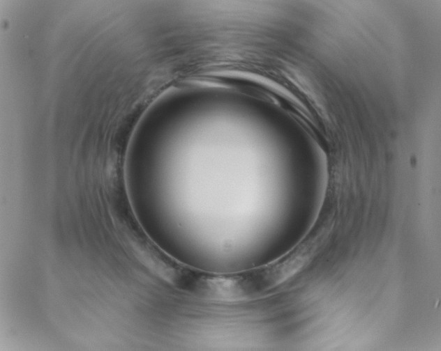 X0000088880265200706081248