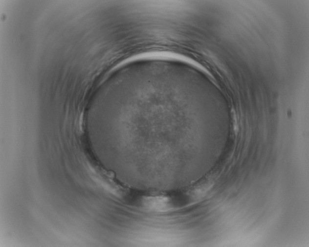 X0000088880266200706081248