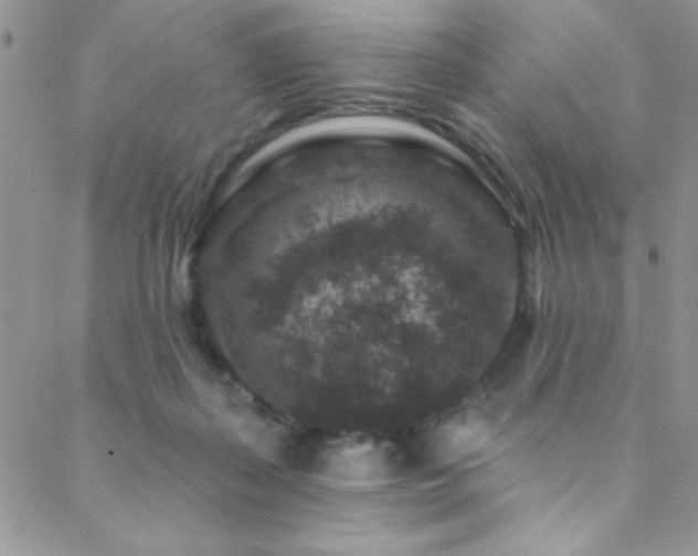 X0000088880267200706081248