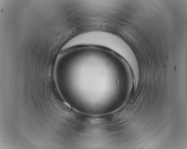 X0000088880268200706081248