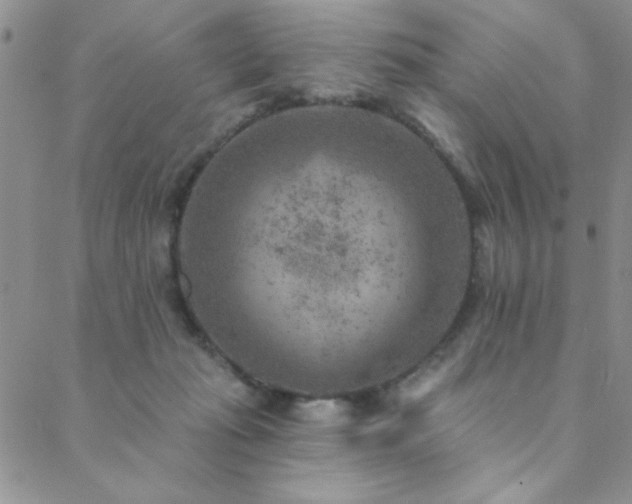 X0000088880269200706081248