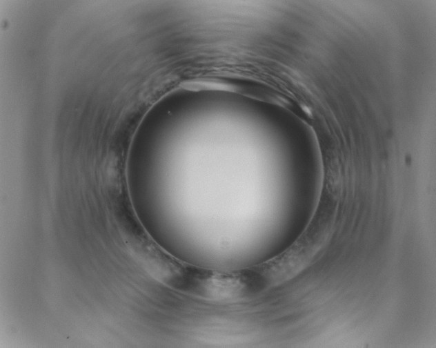 X0000088880270200706081248