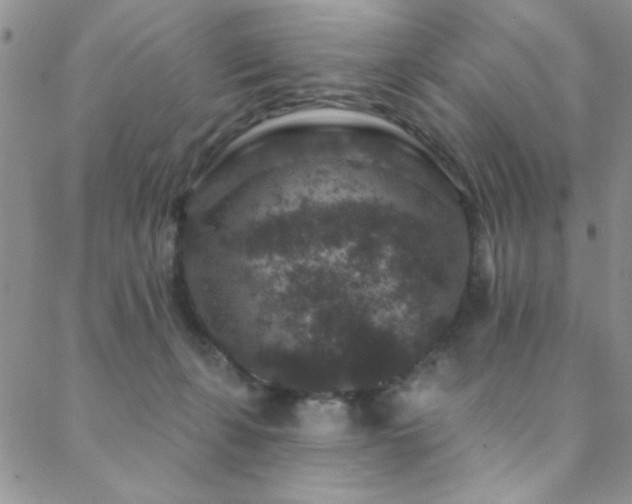 X0000088880271200706081248