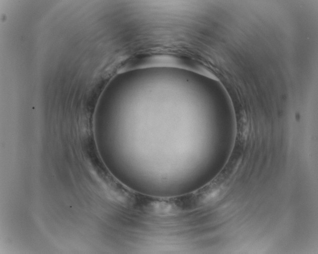 X0000088880272200706081248