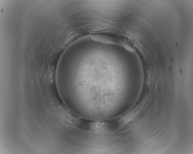 X0000088880273200706081248