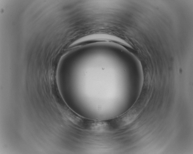 X0000088880274200706081248