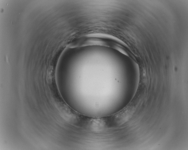 X0000088880275200706081248