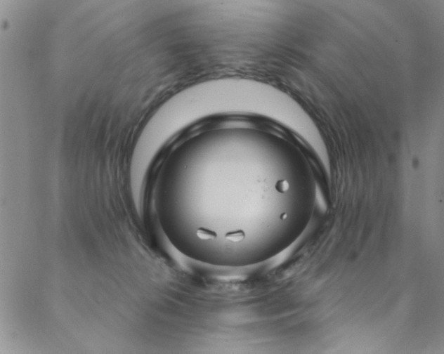 X0000088880276200706081248