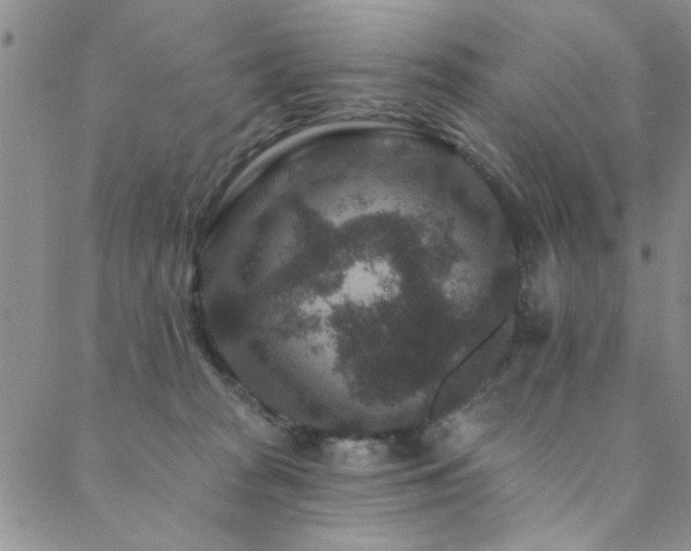 X0000088880277200706081248