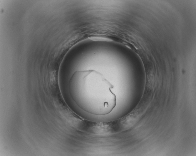 X0000088880278200706081248