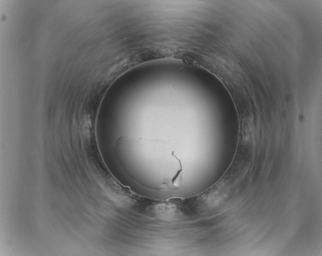 X0000088880279200706081248