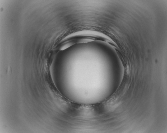 X0000088880280200706081248