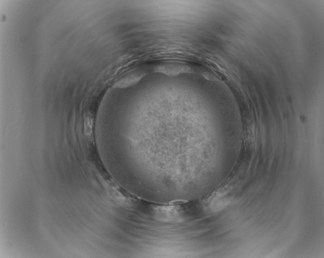 X0000088880281200706081248