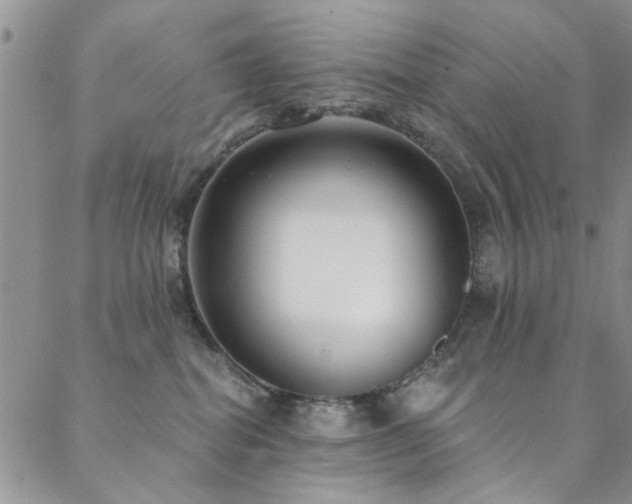 X0000088880282200706081248