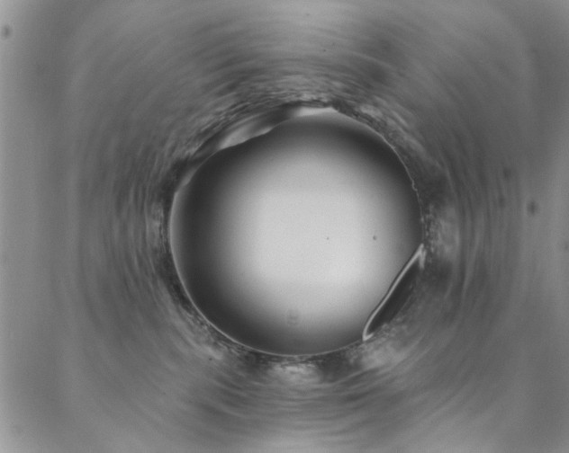 X0000088880283200706081249