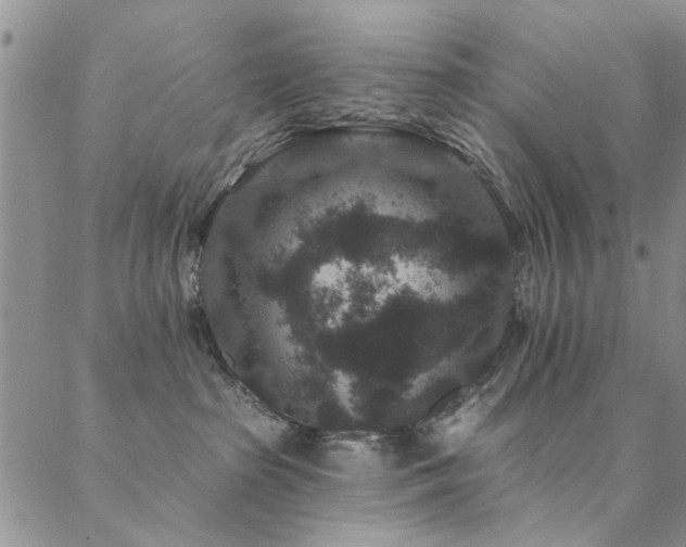 X0000088880285200706081249