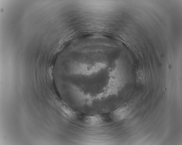 X0000088880286200706081249