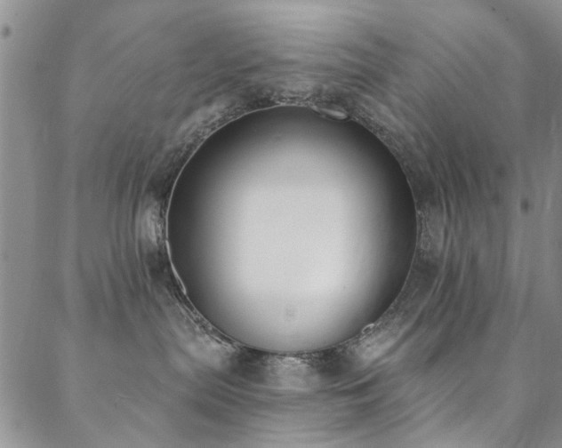 X0000088880287200706081249