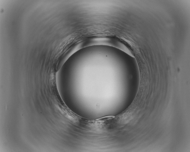 X0000088880288200706081249