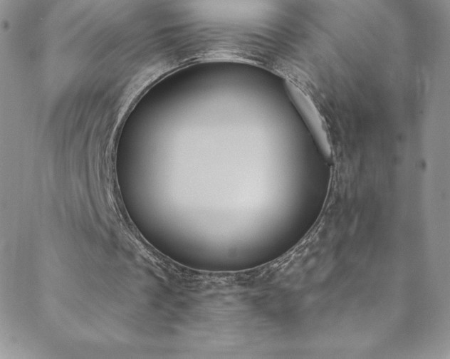 X0000088880289200706081248