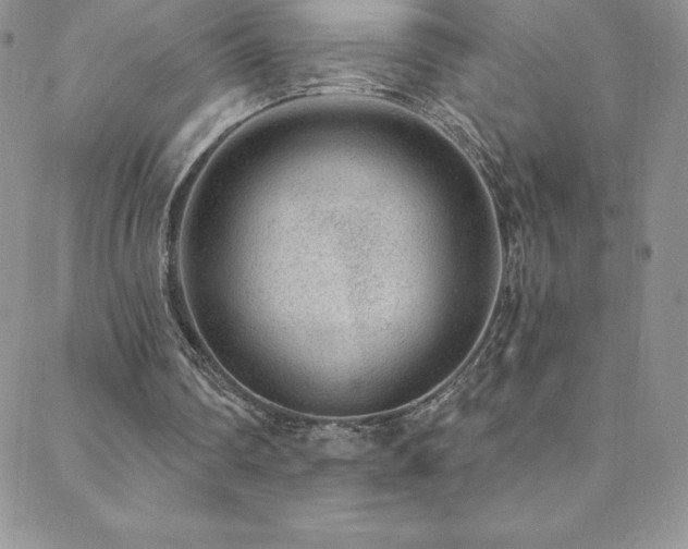 X0000088880290200706081248