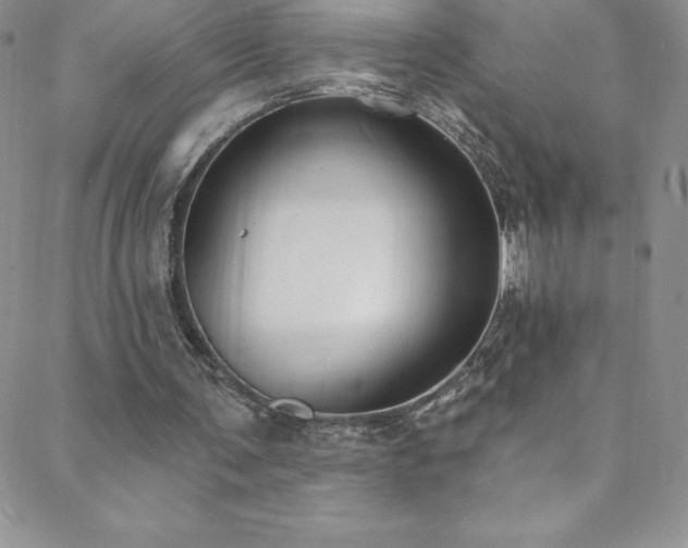 X0000088880291200706081248