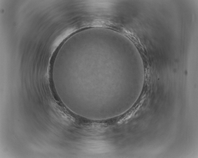 X0000088880292200706081248