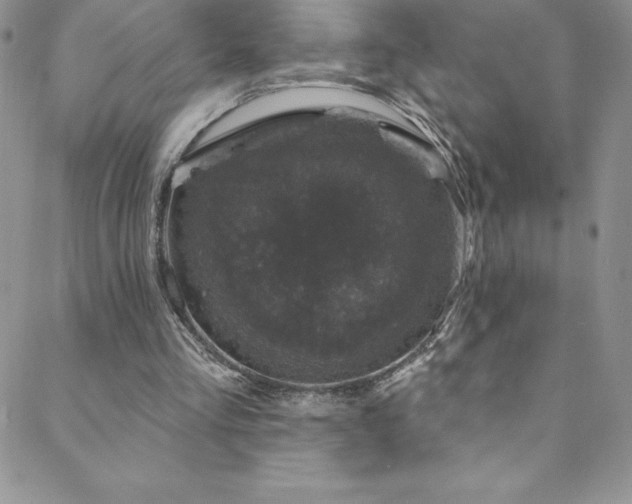 X0000088880293200706081248