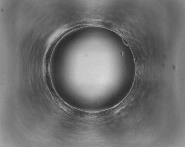 X0000088880294200706081248