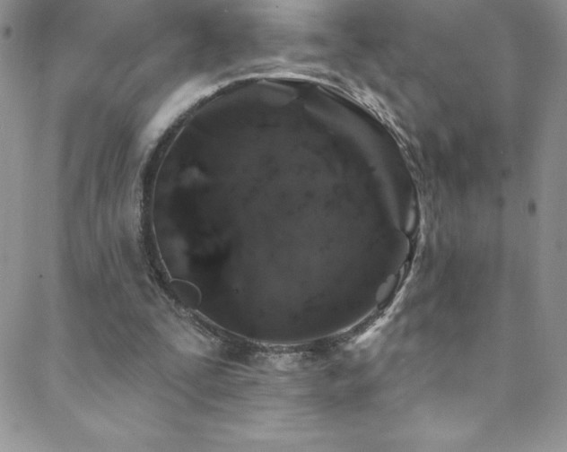 X0000088880295200706081248