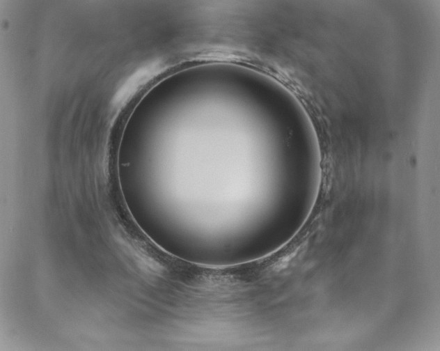 X0000088880296200706081248