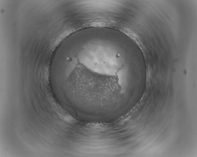 X0000088880297200706081248